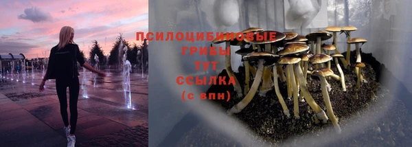 ALPHA PVP Алзамай